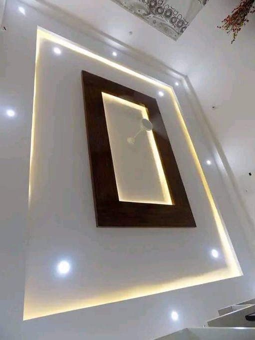  id: 5,